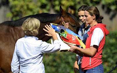 Eine Dozentin erklärt in der praxisnahen Tiertherapie-Ausbildungen die Funktion des Kiefers am Pferd