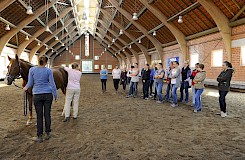Praxisdemonstration der physiotherapeutischen Behandlung in der Reithalle