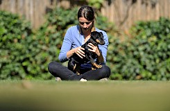 Die Hundephysio können Sie am DIPO in Dülmen (NRW) erlernen