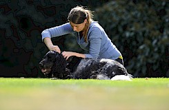 Auch die Behandlung der Halswirbelsäule wird im Rahmen der Hundeosteopathie-Ausbildung gelehrt