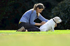 Palpation am Rücken des Hundes im Rahmen der osteopathischen Behandlung