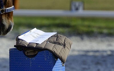 Ein Pferd riecht an von einem Teilnehmer abgelegten Kursunterlagen