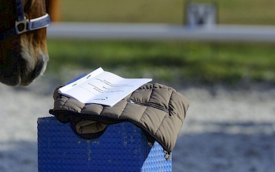 Ein Pferd schaut in Kursunterlagen