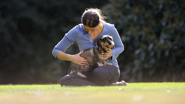 Eine Hundetherapeutin behandelt einen Dackel