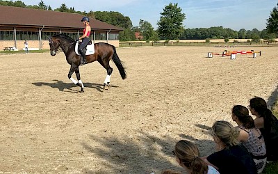 Teilnehmer schauen Ingrid Klimke beim Training zu