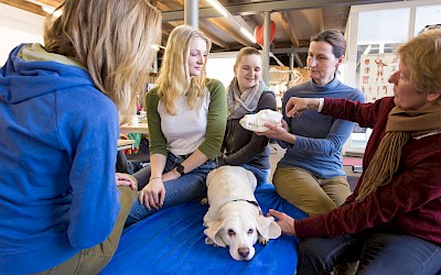 Die Dozentinnen erklären den Teilnehmerinnen etwas am Modell des Hundekopfes