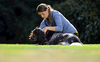 Eine Therapeutin behandelt einen Hund