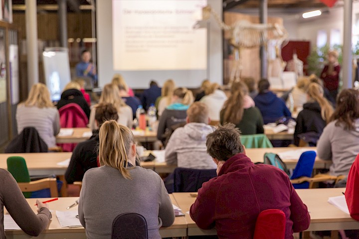 TeilnehmerInnen sitzen im Klassenraum und hören der Dozentin zu