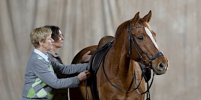 Zwei Therapeutinnen passen einem Pferd einen Sattel an