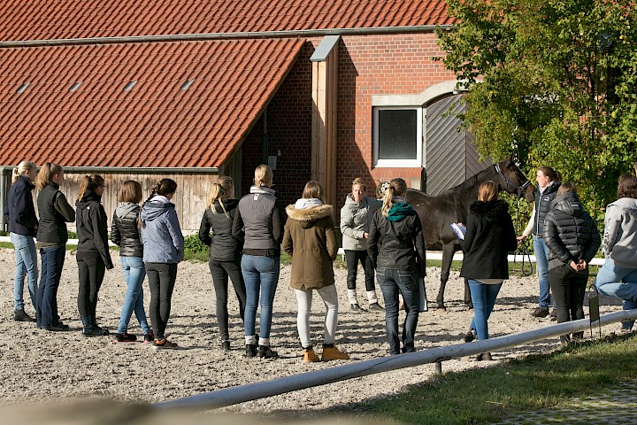 Reiterinnen bei einer praktischen Einheit im Sattelseminar