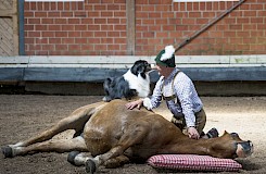 Stille begleitete diese beeindruckende Vorführung von Andreas Baumann