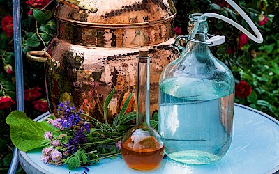 Destillierapparat zur Gewinnung phytotherapeutischer Tinkturen